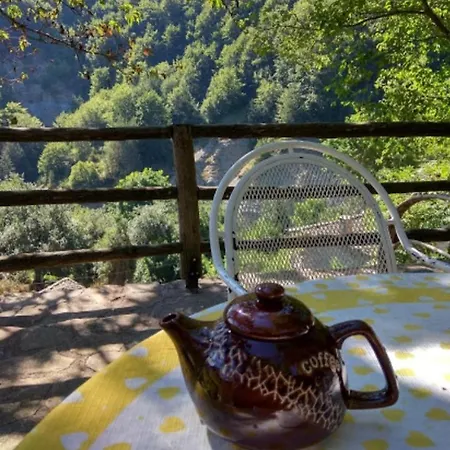 Πανσιόν Ktona